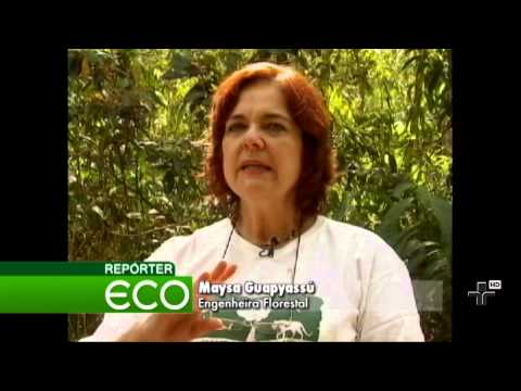 Repórter Eco 13/01/2013 - Bloco 2
