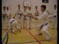 Mitsusuke Harada karate lesson.
