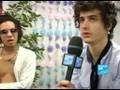Portrait des BB Brunes