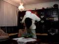 videos de SUEDA