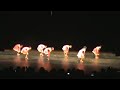 EVELISE / GRUPO DE DANÇA ESCOLA MADRE CELESTE