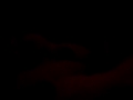 Vorstellung der Katzenbabys von Arisha =)