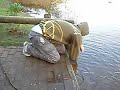 Stalking Carp on a stick! Stalking Carp on a stick!