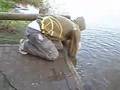 Stalking-Carp-on-a-s