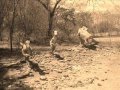 DINOSSAUROS BRASILEIROS EM HOLLYWOOD: Spielberg os descobriu em Souza, no sertão da Paraíba. E você?