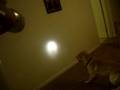 videos de the light