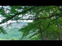 Garner State Park