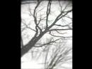 Literaire Lente 2007 -- Johan de Boose Literaire Lente 2007 -- Johan de Boose