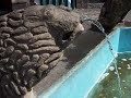 Cuernavaca, Morelos