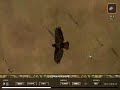 Deer Hunter 2005 Bird killed with bow Deer Hunter 2005 Bird killed with bow