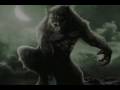 Were/ wolves- Animal I Have Become