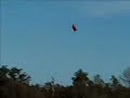 RC EC135 Helicopter