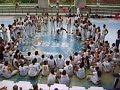 Machadinho capoeira SG