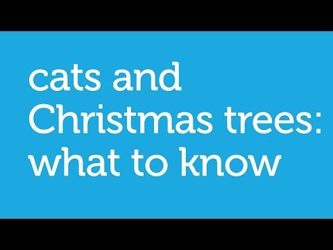 how to keep cat out of christmas tree