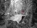 coucou, me revoil�.. alors oui c'est encore moi ... et j'aime toujours la chanson fran�aise : aznavour, brel, cabrel, raphael, ... et ses chagrins d'amour.   

hier encore, j'ai d�couvert la po�sie de thomas vuillemin sur un concert live � besan�on (doubs). sa musique acoustique nourrit mon �me et me rend plus belle la vie. je l'aime � mourir. j'ai r�alis� une vid�o comme j'ai pu, pas d'habitude, pour pr�senter cet artiste romantique. le th�me que je vous propose n'est pas tr�s gay 