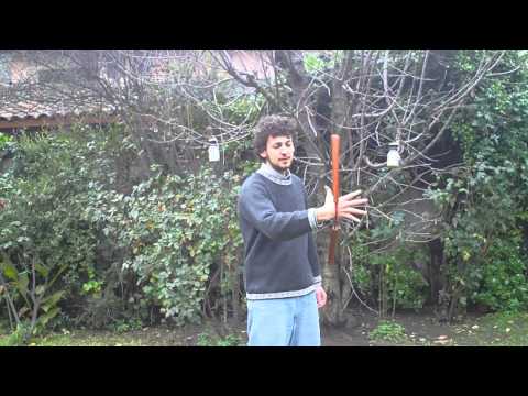 nunchaku - http://nunchakututorials.com Learn freestyle nunchaku from zero. This video is to let you know about the basic manipulation of your nunchucks for freestyle.