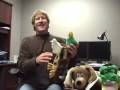 videos de Kyjen's 