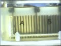 Hydrogen HHO Electrolyzer w/ vinegar 2007/08/01