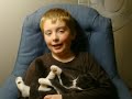 Crazy Cat Attack