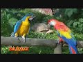 spot anuncio mirablau 03 www mirablau es