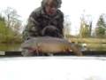 10lb mirror