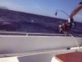 sakis papadakis ψαρεμα βλαχου deep drop fishing 19/9/2010