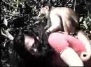 Brincando na Amaz�nia
