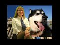 Deadliest USA Animals, Top Dangerous Animals, Hot Facts Girl