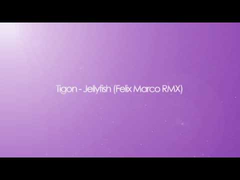 tigon