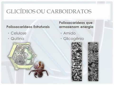 Imagem de Amostra do You Tube
