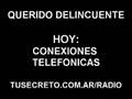 Querido-Delincuente-