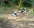 I going down the hill again!