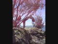 The Flip Movie