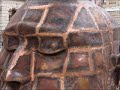 zhang huan london buddha