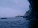 isla ballestas 13