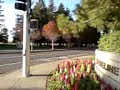 MOV00041.3GP