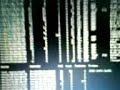Wardriving en MacBook Wardriving en MacBook