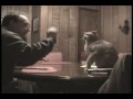 Pokey the Boxing Cat