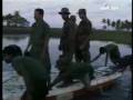 Tamil Tigers