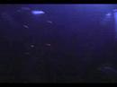 Sander van Doorn @ Pacha, New York, NY 04/25/2008 pic YouTube Preview Image