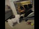 playtime playtime