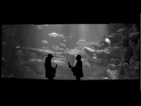 Océan - Après avoir intreprété Délivre dans une grotte ( http://www.youtube.com/watch?v=MtQgq2kyjnk ) Matthieu Chédid, aka M, revient 1 an et demi plus tard devant l...