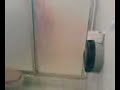 Miando al bimbollo