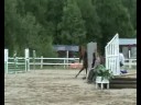 Irmelin 1.20 Fagersta