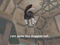 kass hotkeys   silly clips