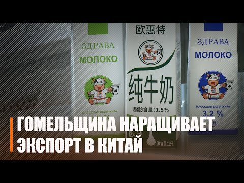 Дрэваапрацоўка, хімічнае абсталяванне, мясамалочныя вырабы. Гомельшчына нарошчвае экспарт у Кітай видео