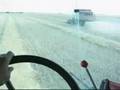 videos de Harvesting Canola Swaths