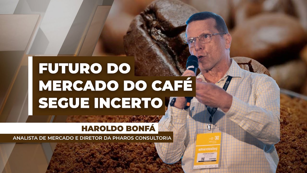 Estoques de café seguem quase zerados e nova safra pode não suprir o déficit atual