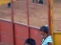 EL JARIPEO DEL FLECHERO