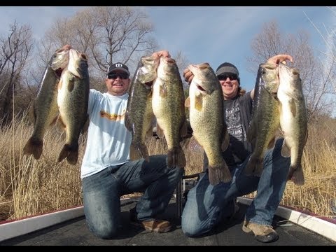 Pre Spawn Swimbait Fishing YouTube Preview Image